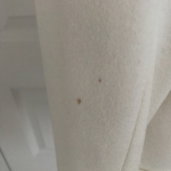 Soft, Structured Blazer - Picture 5 of 5